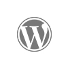 wordpress websites