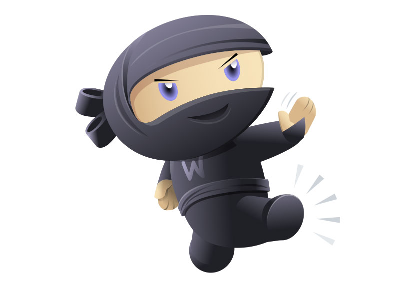 woocommerce ninja